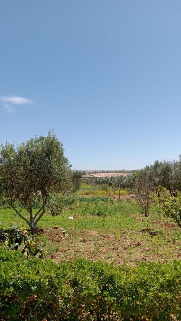 Ferme De Rayan Villa Safi Kültér fotó